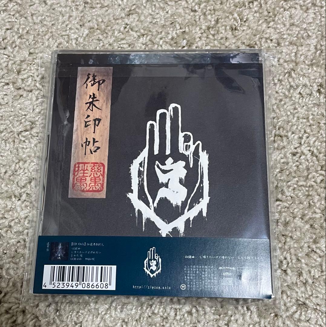 真天地開闢集団ジグザグ 帰りたいけど帰れない 初回盤CD