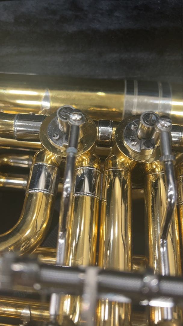 チューバ （J.Michael？）ケース付き値下げ交渉可 （直接引き取り）