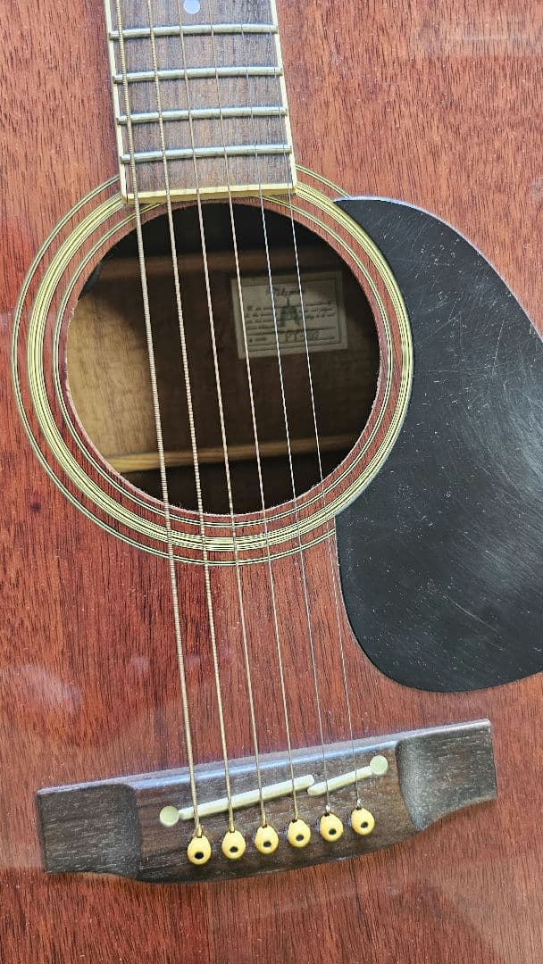 TAKAMINE PT-207　ハードケース付　アコースティックギター　タカミネ