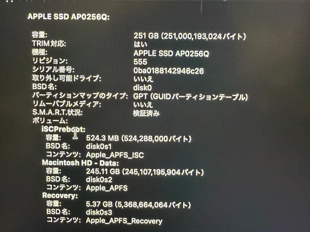 M1 mac mini メモリ16GB、256GB SSD