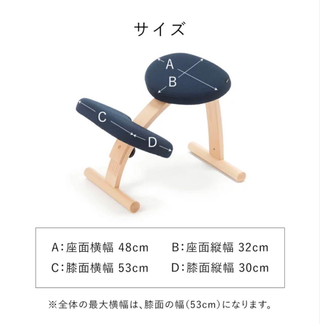 バランスチェア　バランスイージー