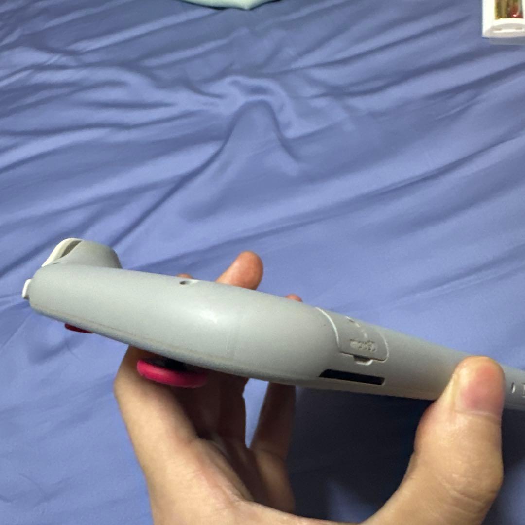 Nintendo Switch Lite ザシアン・ザマゼン