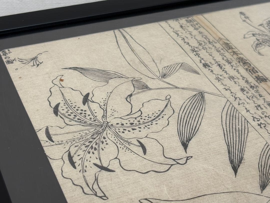 Yoppy様 リクエスト 7点 まとめ商品（江戸時代 木版画）