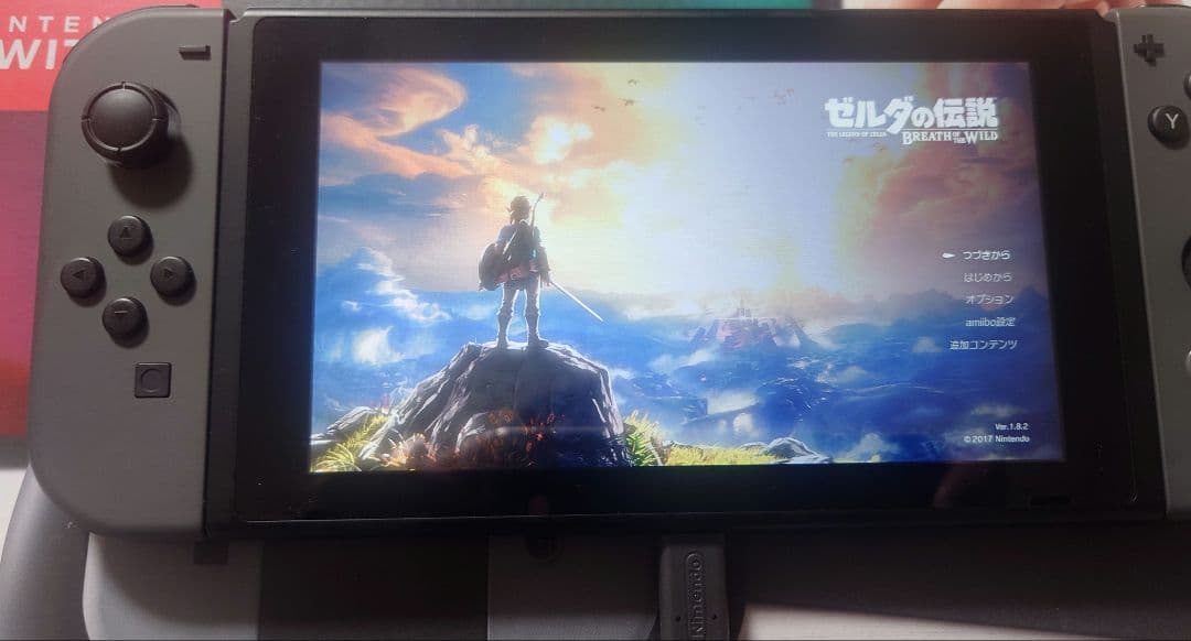 ニンテンドースイッチ 本体 プロコントローラー、ケース付き