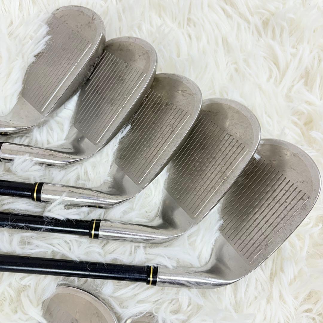 XXIO MP200 メンズアイアンセット レフティ 10本 R FLEX 希少