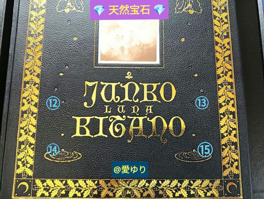 特大♦豪華限定♦羊革装版『きたのじゅんこ自選画集』天然宝石１５石装飾✨豪華附録付