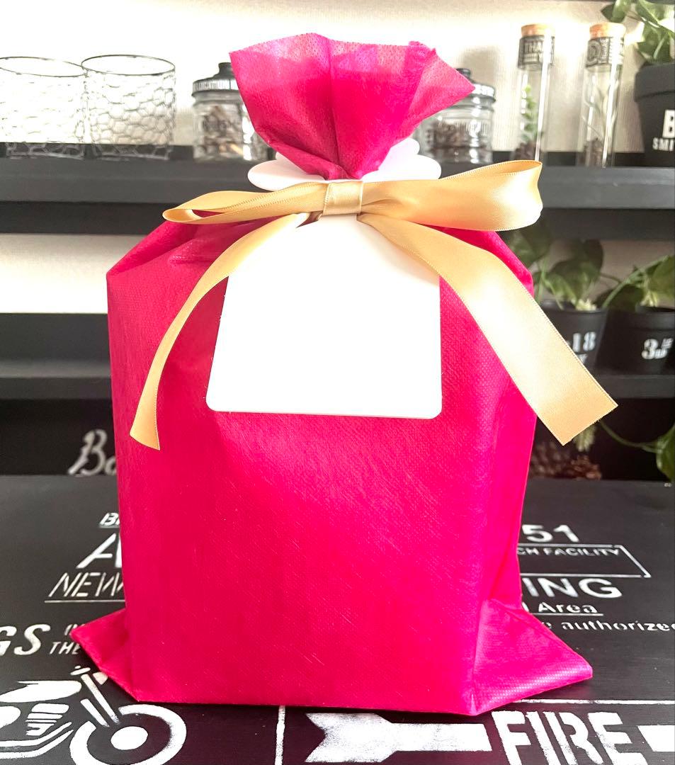 クリスチャン ディオール カプチュール トータルセル ENGY ポーチセットP