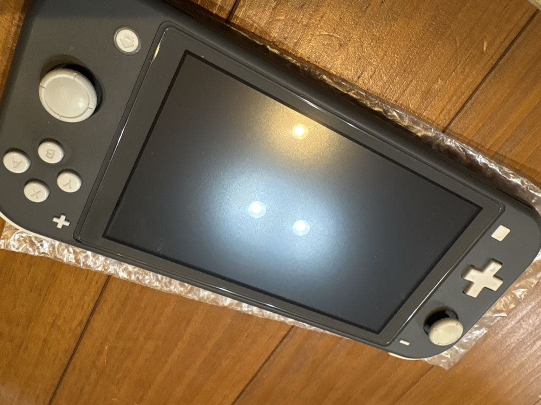 Nintendo Switch Lite グレー 本体、付属品