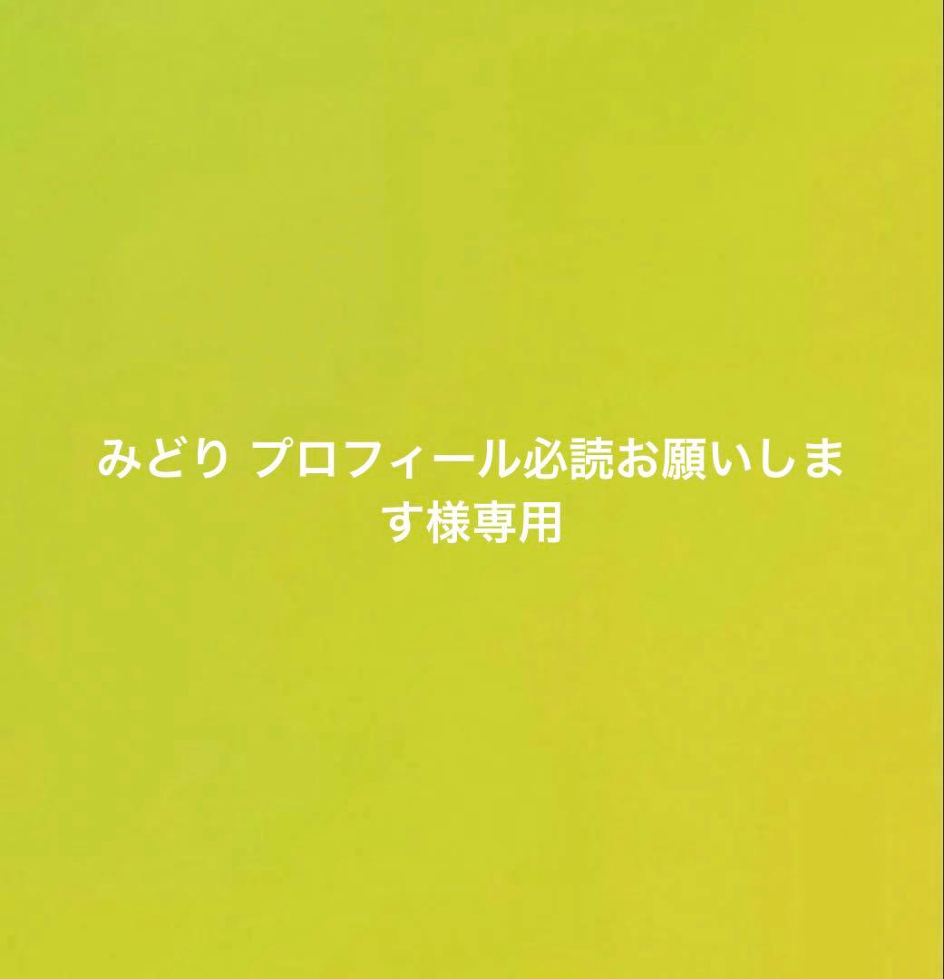 みどり プロフィール必読お願いします