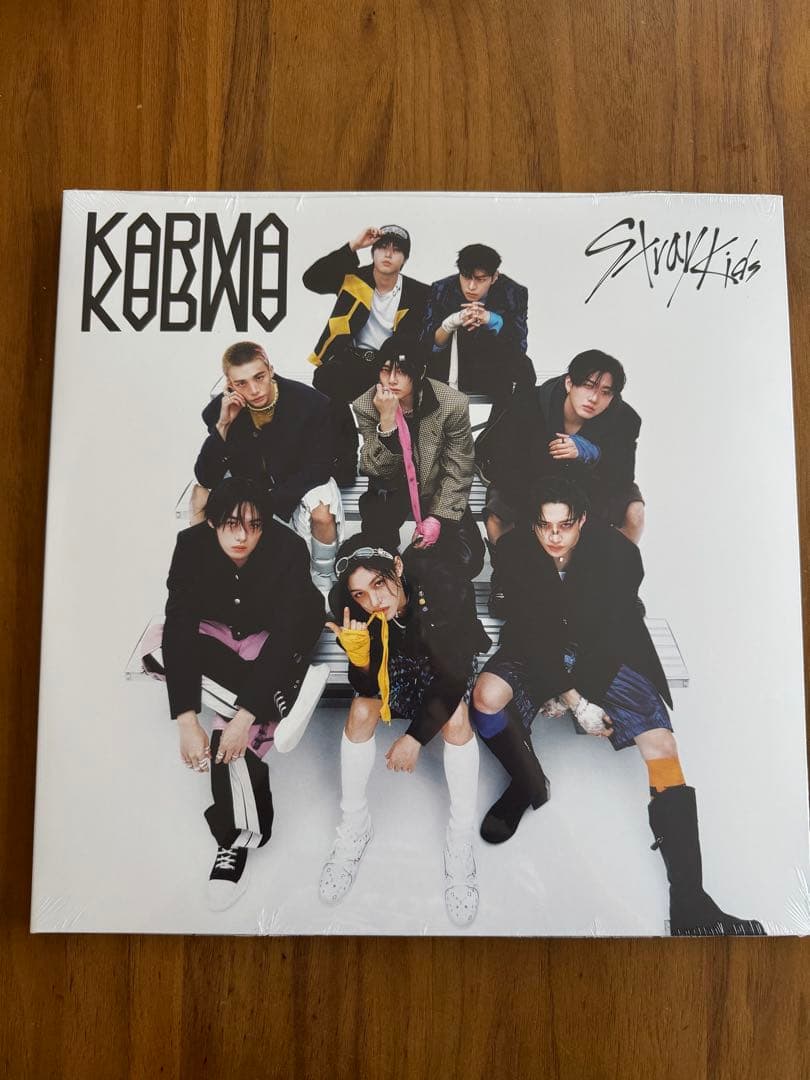 その他 Stray Kids KARMA Vynal