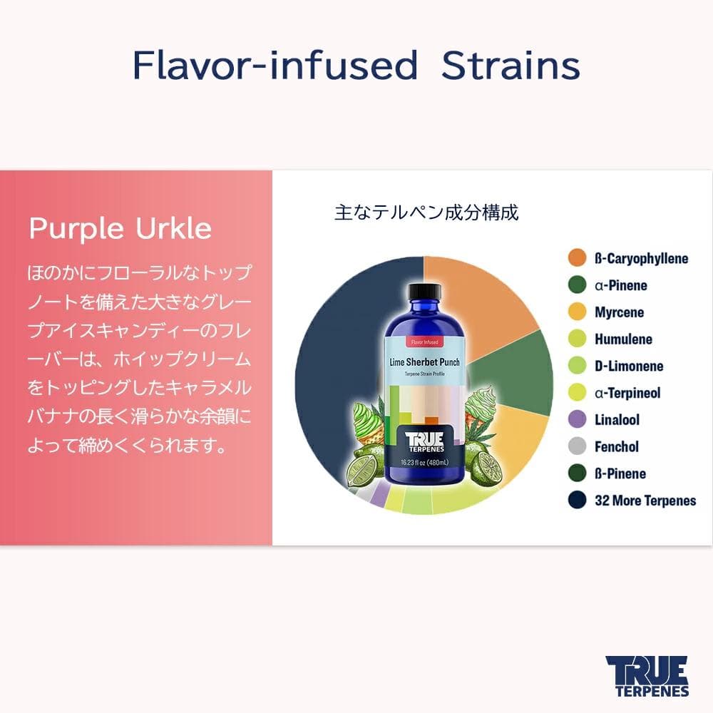 TRUE テルペン 510 CBD CBN CBG 10ml パープルウルクル