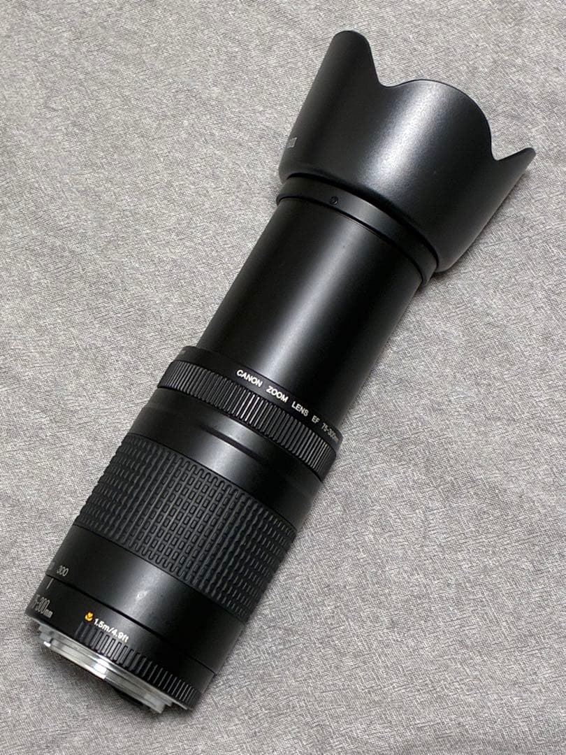 ⭐️美品⭐️ Canon EF 75-300mm F4-5.6 II フード付き望遠