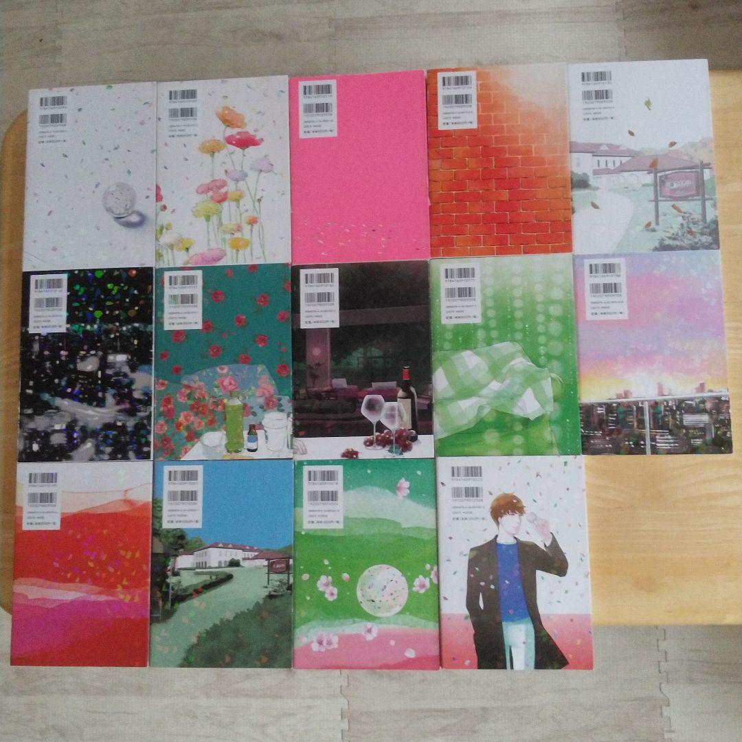 ⭐私のことを憶えていますか 　東村アキコ先生　文藝春秋社刊　全14巻　完結セット