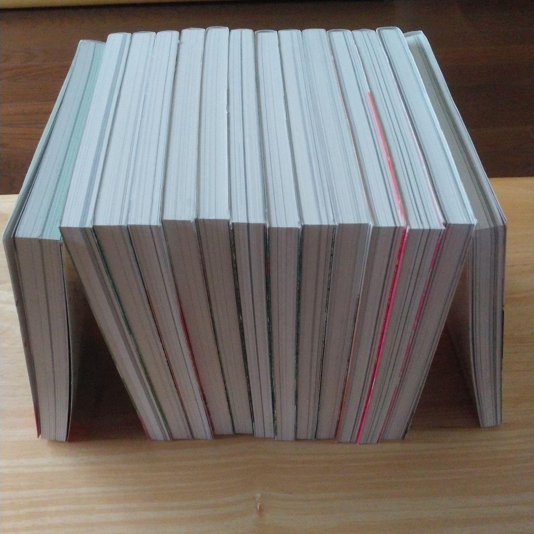 ⭐私のことを憶えていますか 　東村アキコ先生　文藝春秋社刊　全14巻　完結セット