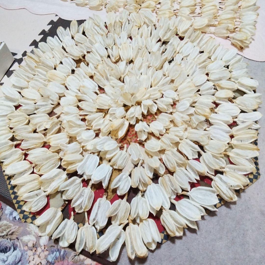 mk923mId4様特別オーダー専門ページ　オオウバユリのホワイト