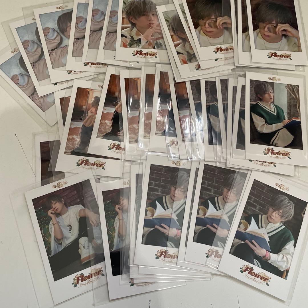 K17.浦島坂田船 うらたぬき チェキ風カード まとめ売り ミニフォトカード