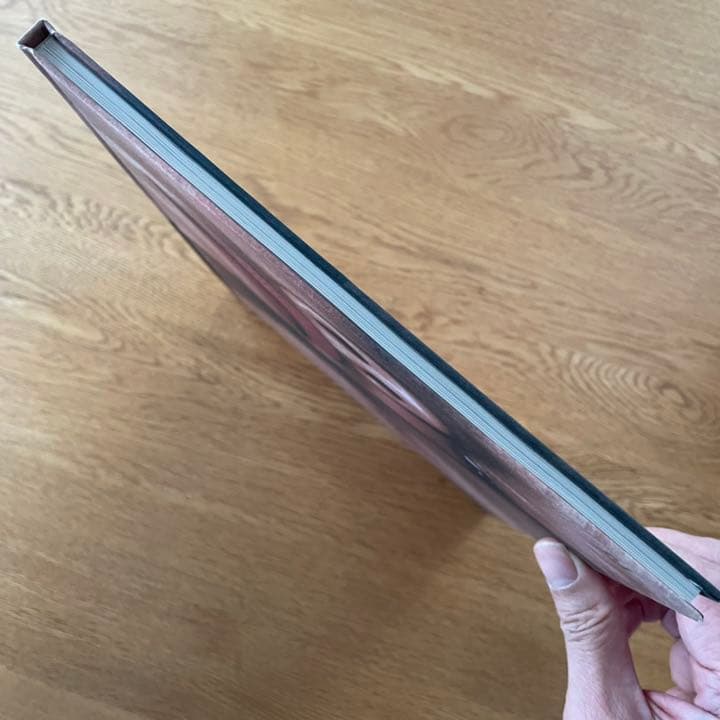 洋書 TERRY RICHARDSON SHINE GALLERY 2000