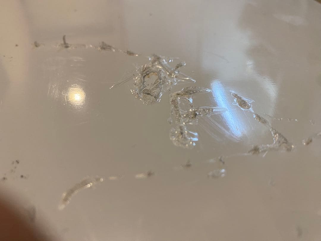 simplus 冷蔵庫 小型 2ドア 90L