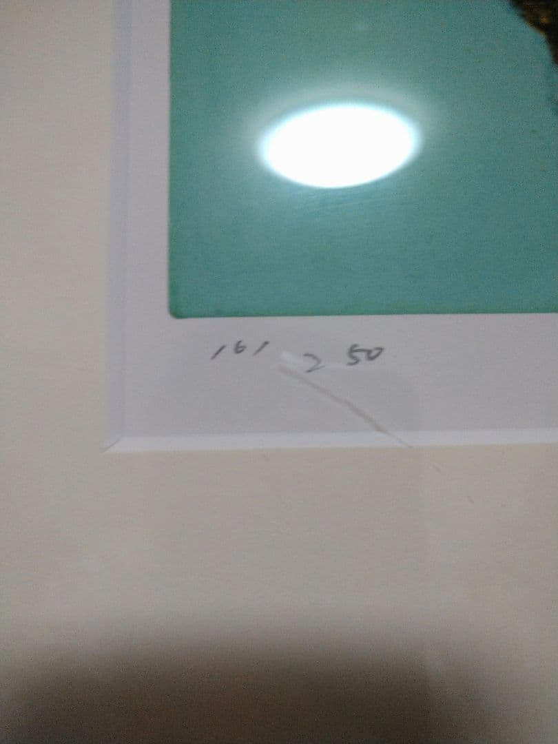 ゆ*9様 アンディーウォーホル　シルクスクリーン版画　額装済　Andy Warh