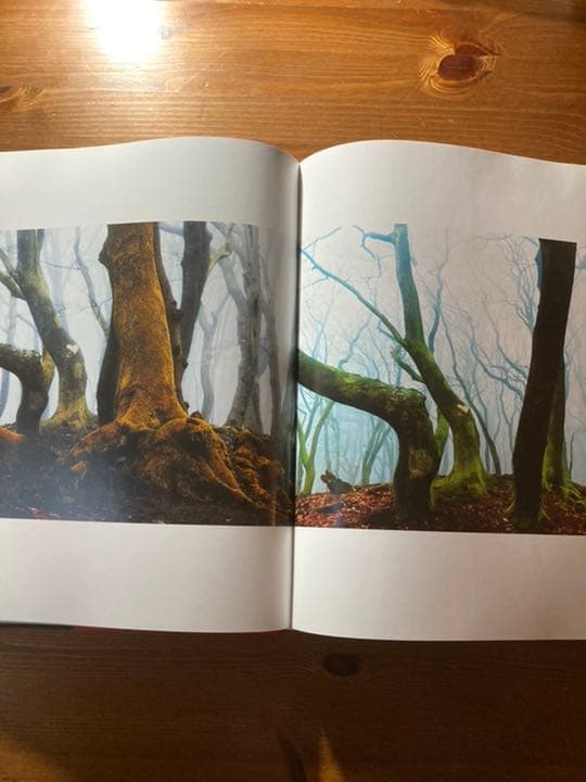 アート・デザイン・音楽 Hasselblad Masters vol.5 Inspire