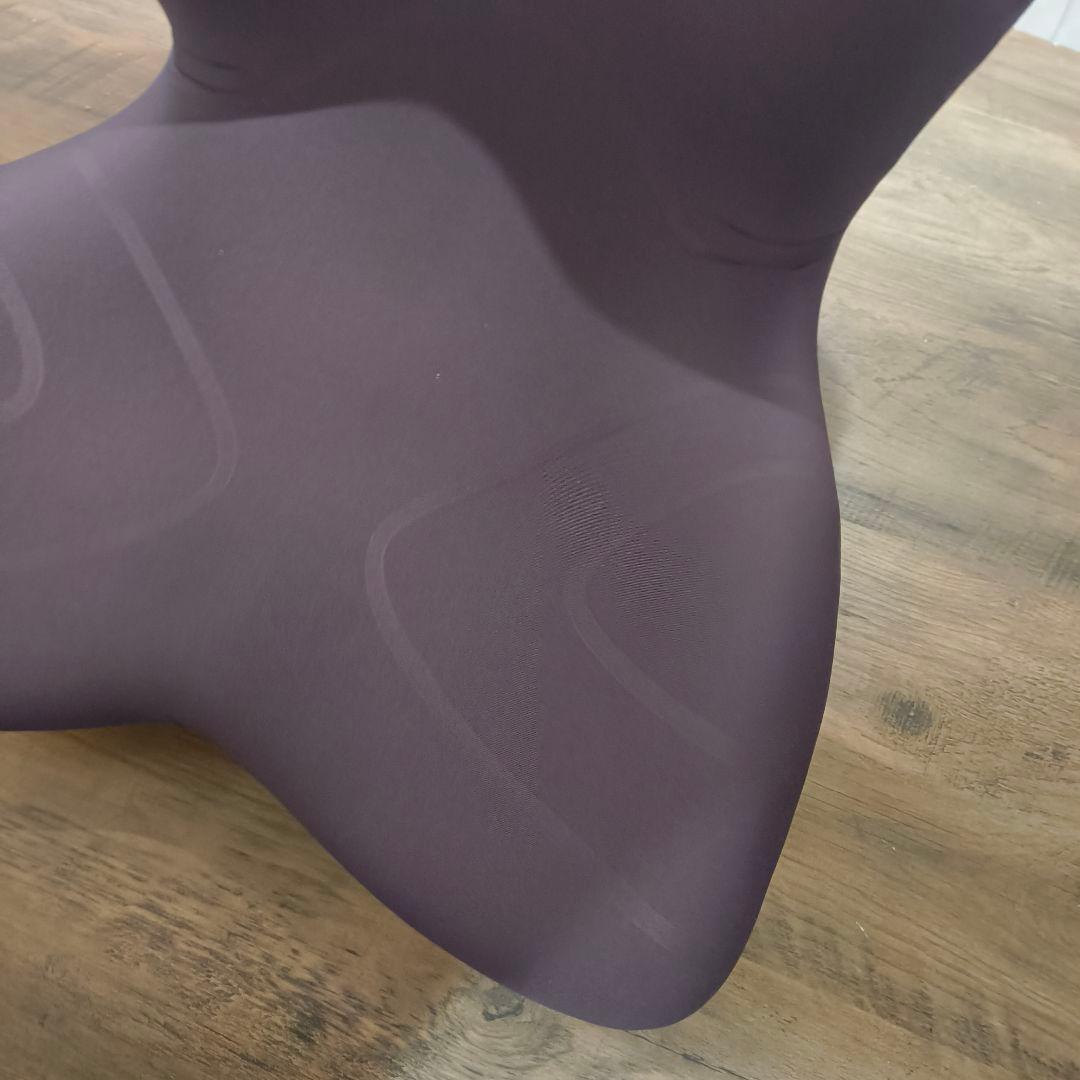 土日セール！スタイルプレミアム Style PREMIUM 骨盤サポート