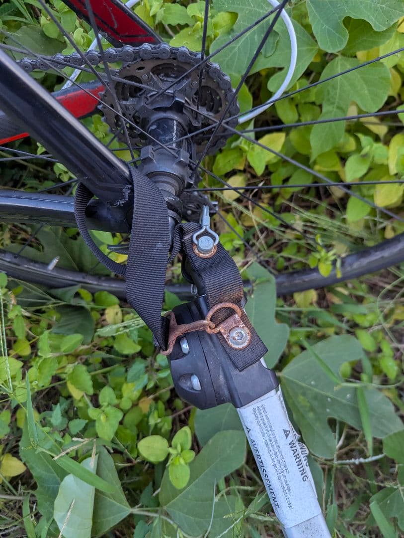 バーレー ハニービー　BURLEY HONEY BEE 2人乗サイクルトレーラー