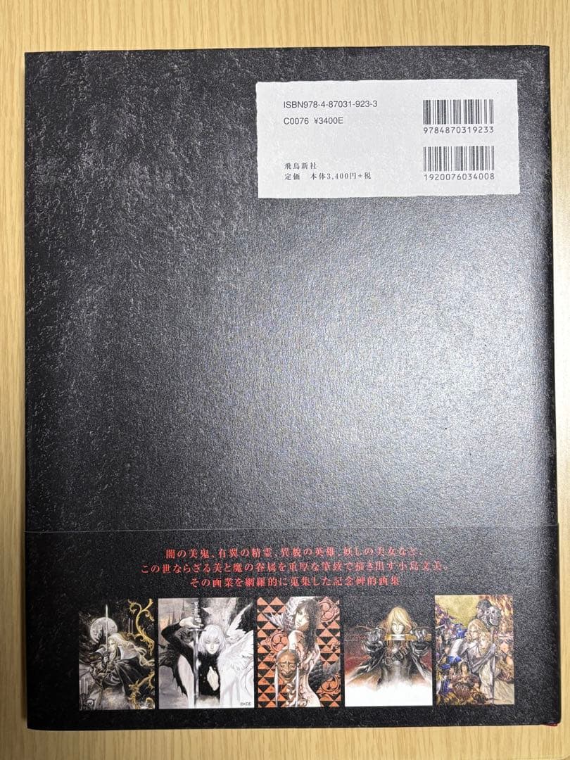 小島文美　画集『緋いユリ』　美品　悪魔城ドラキュラ