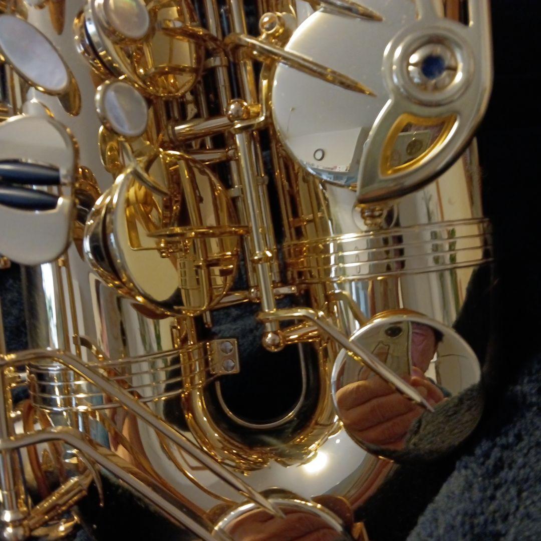 yanagisawa two10 ヘビー仕様テナーサックス