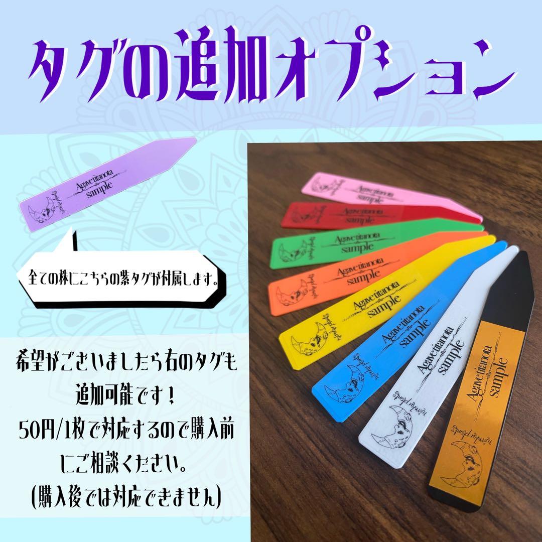 どんどん2128 2103 1214 2129 0000ハデス追加