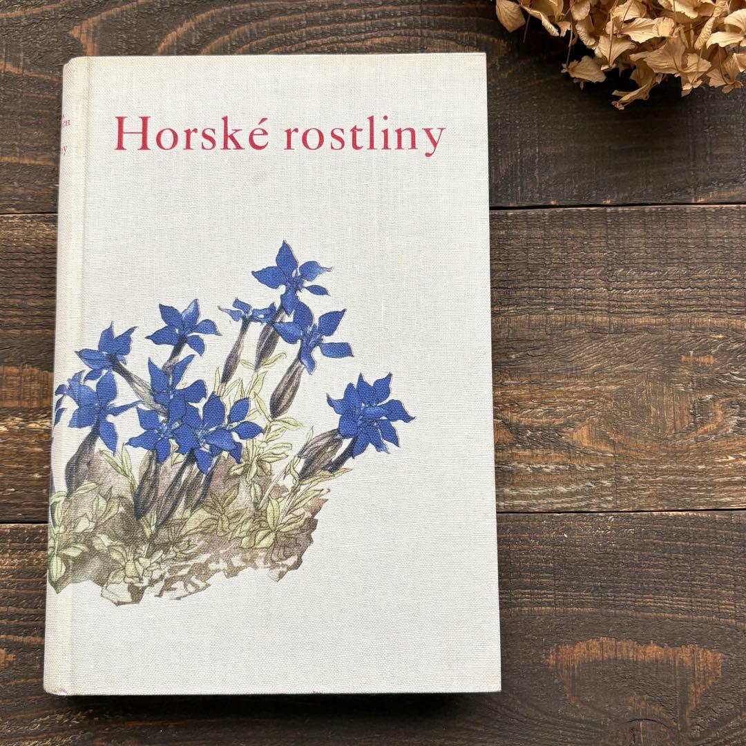 [美しい植物画]チェコの古い植物図鑑(1937年)/植物画 高山植物/