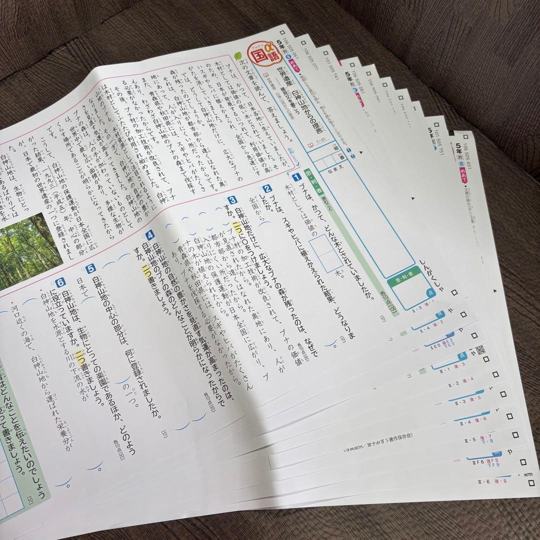 国語 α 後期 5年 カラーテスト 新学社 『未使用』
