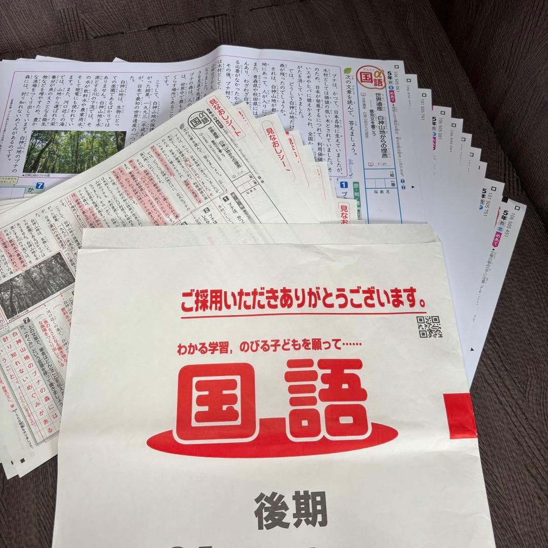 国語 α 後期 5年 カラーテスト 新学社 『未使用』