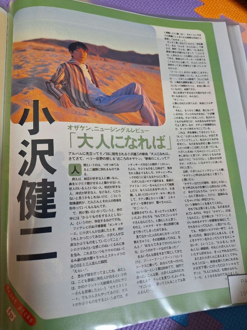 ヌ*ピ様 小沢健二(1冊200円計算)41冊分114ページ切り抜きしファイリング