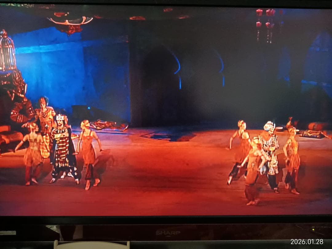 J083　DVD　ＤＶＤ　バレエ　シェヘラザート・薔薇の精・タン人の踊り・火の鳥