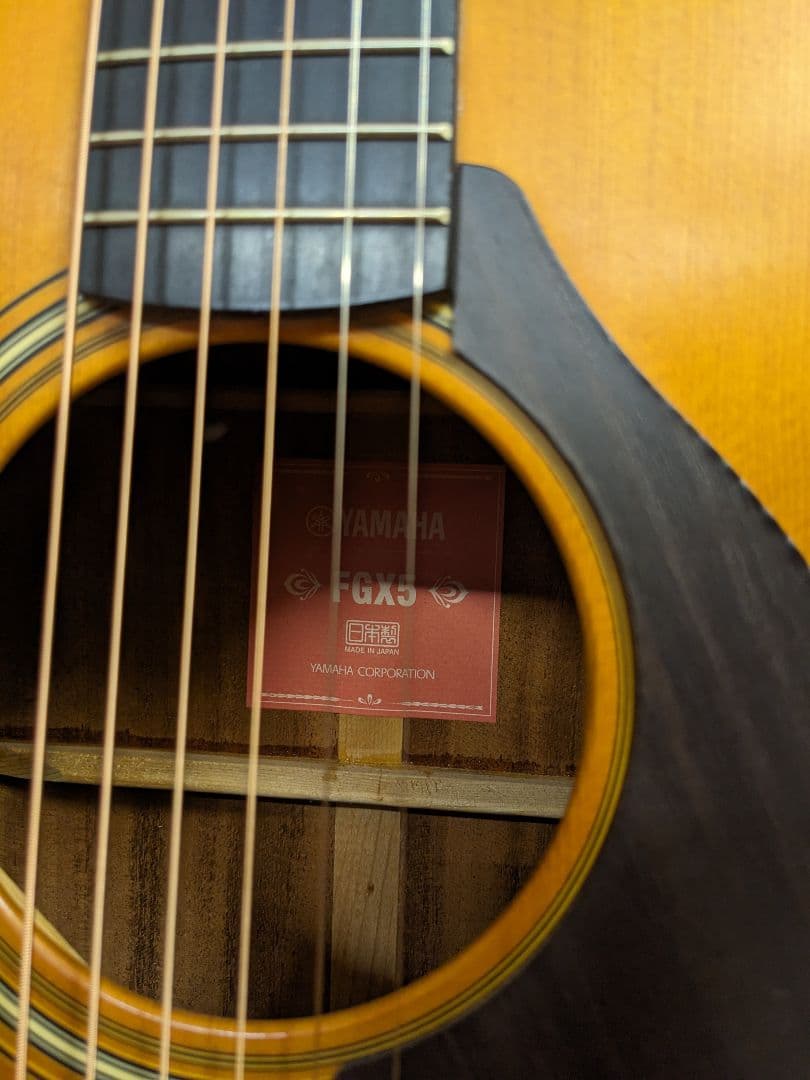 YAMAHA　FGX5