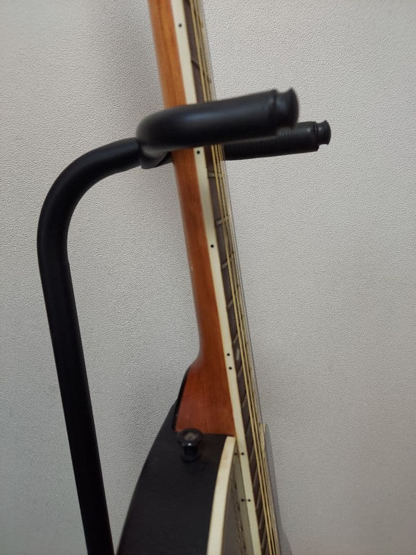 特価　Kガレージ 　エレアコ　 サンバースト　トラ目