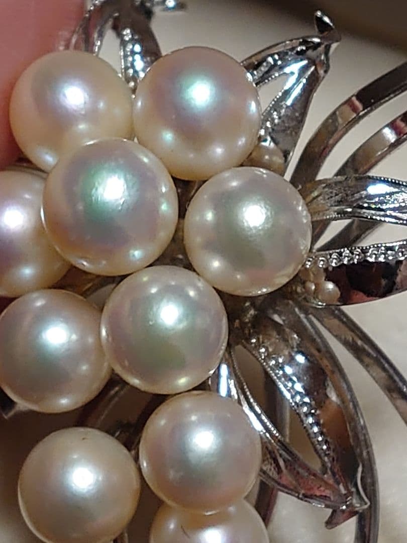 アコヤパールブローチ本真珠