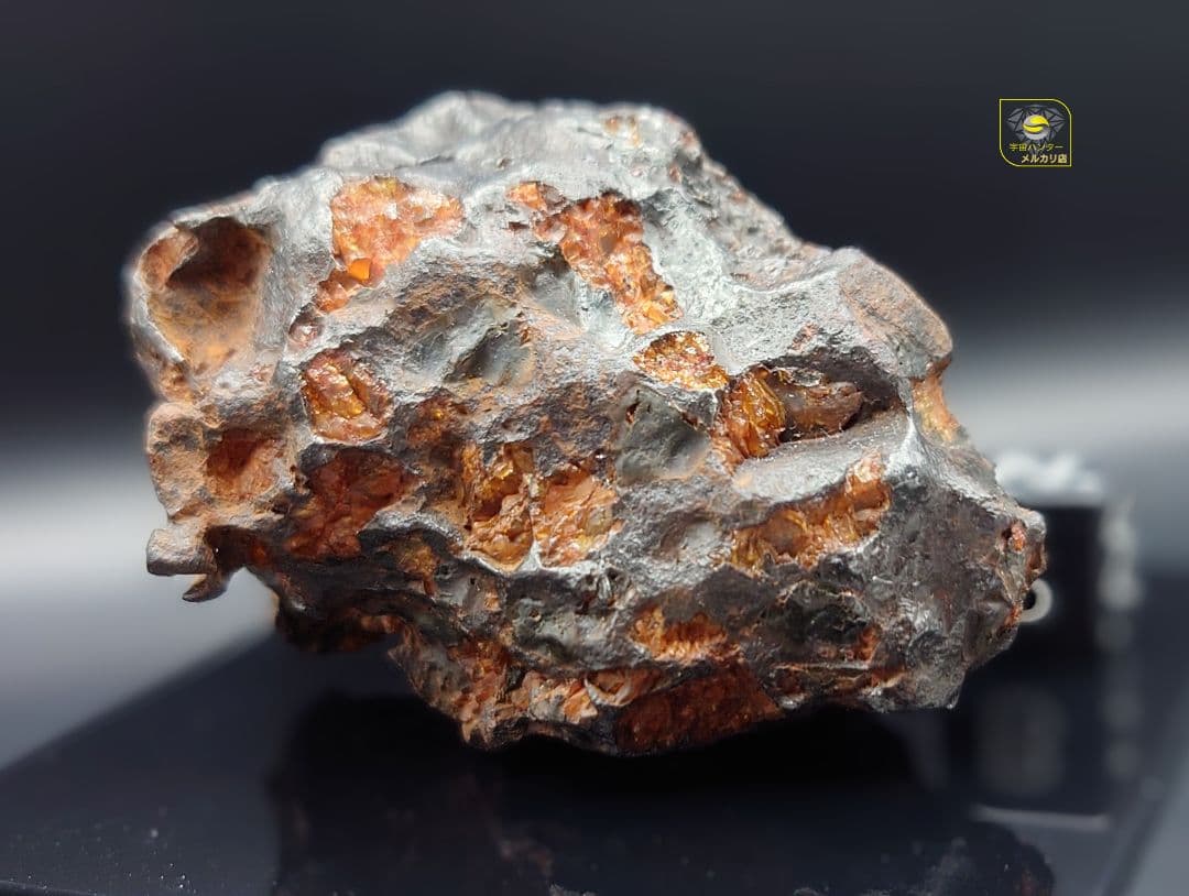 隕石 イミラック パラサイト 126.4g Imilac ⭐⭐⭐