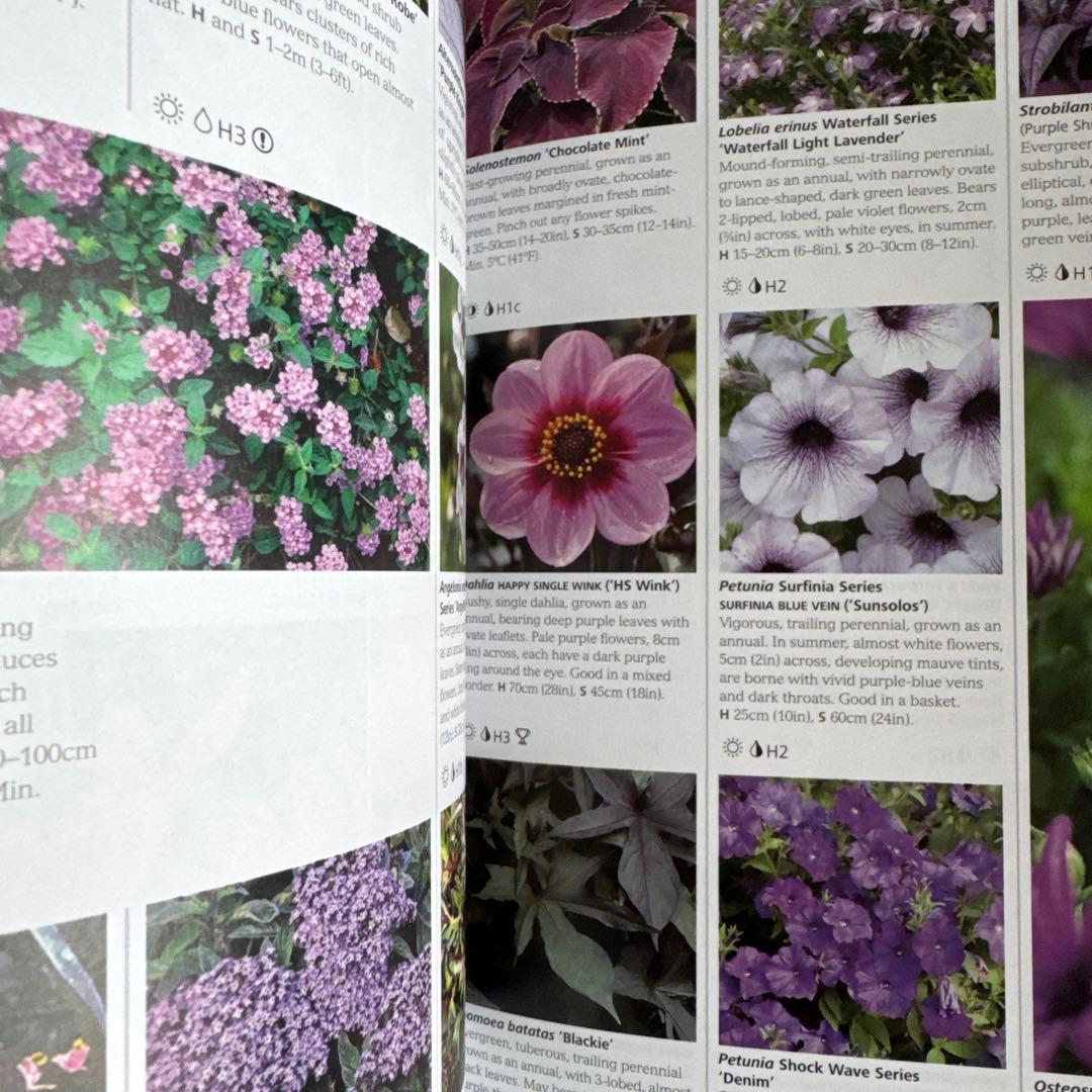 植物と花の百科事典 英語