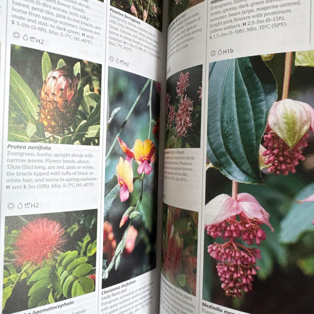 植物と花の百科事典 英語