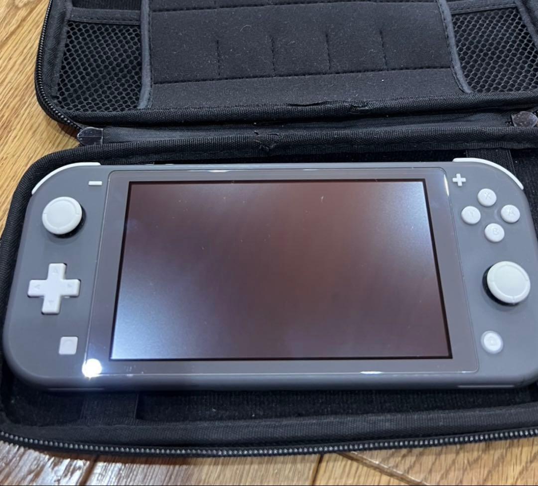 Nintendo Switch Lite グレー 本体　ケースセット
