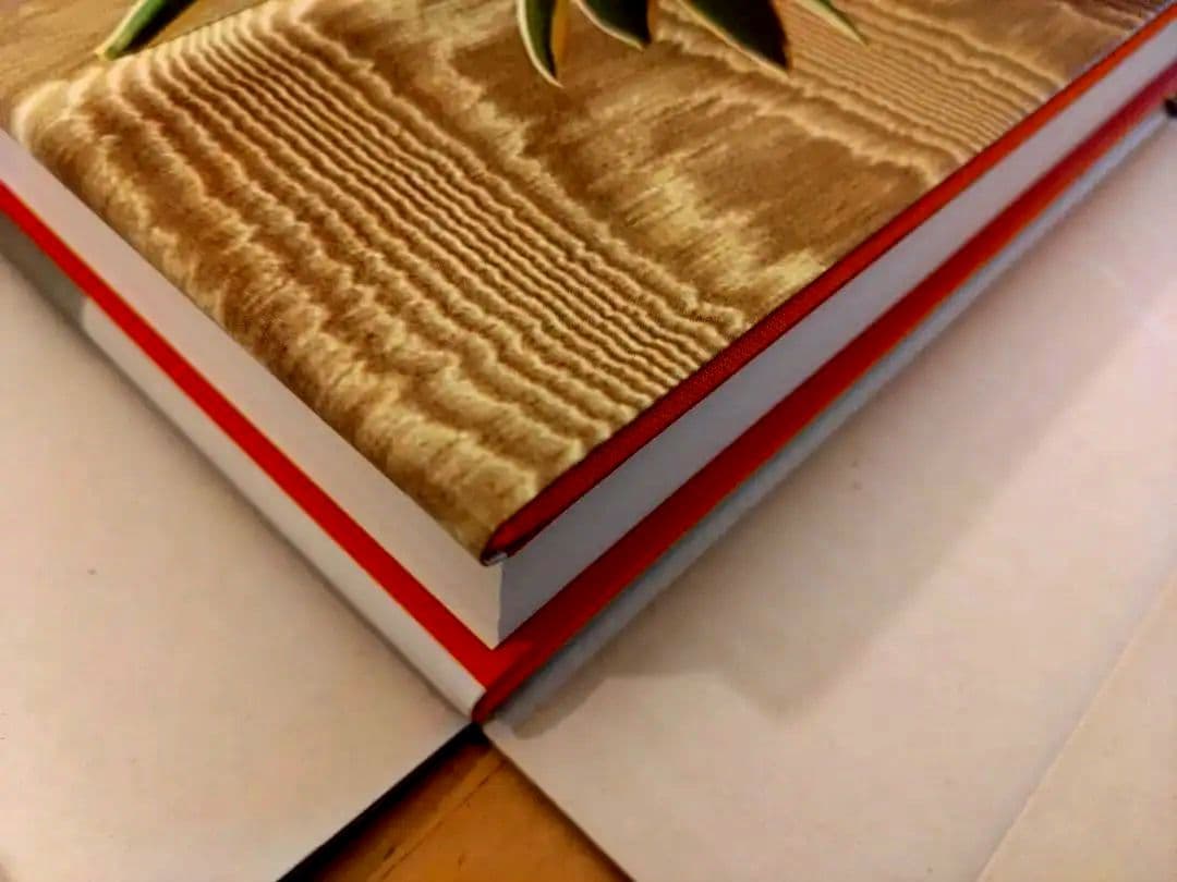 大値下【極品】Mapplethorpe The Complete Flowers