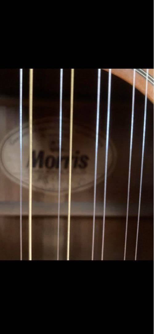 Morris アコースティックギター12弦