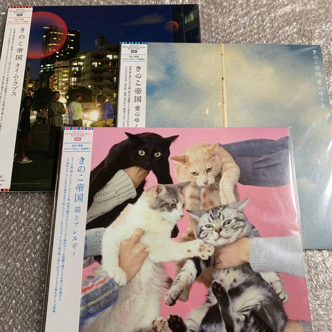 きのこ帝国 猫とアレルギー 愛のゆくえ タイム・ラプス LP レコード