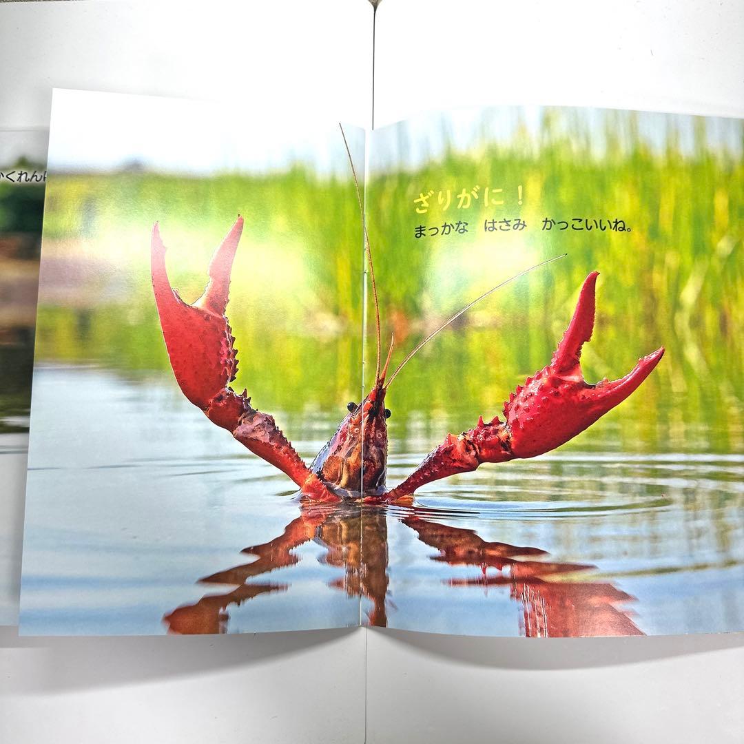 【2点購入150円引】おはなしワンダー　いいな「じぶん」！　くすのきしげのり