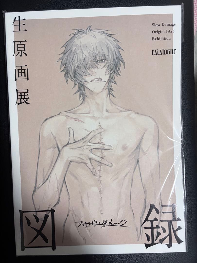スロウダメージ 生原画展 図録