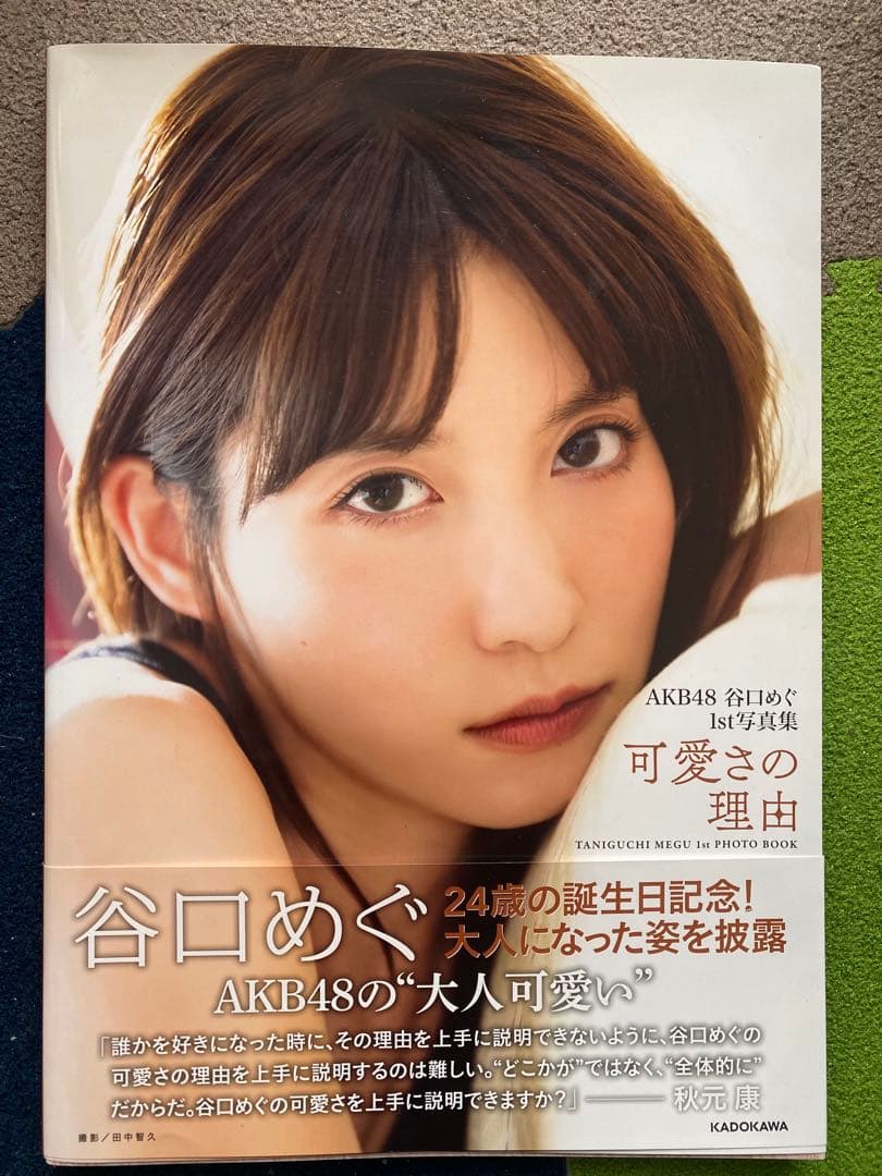 AKB48 CDコレクション&その他グッズ