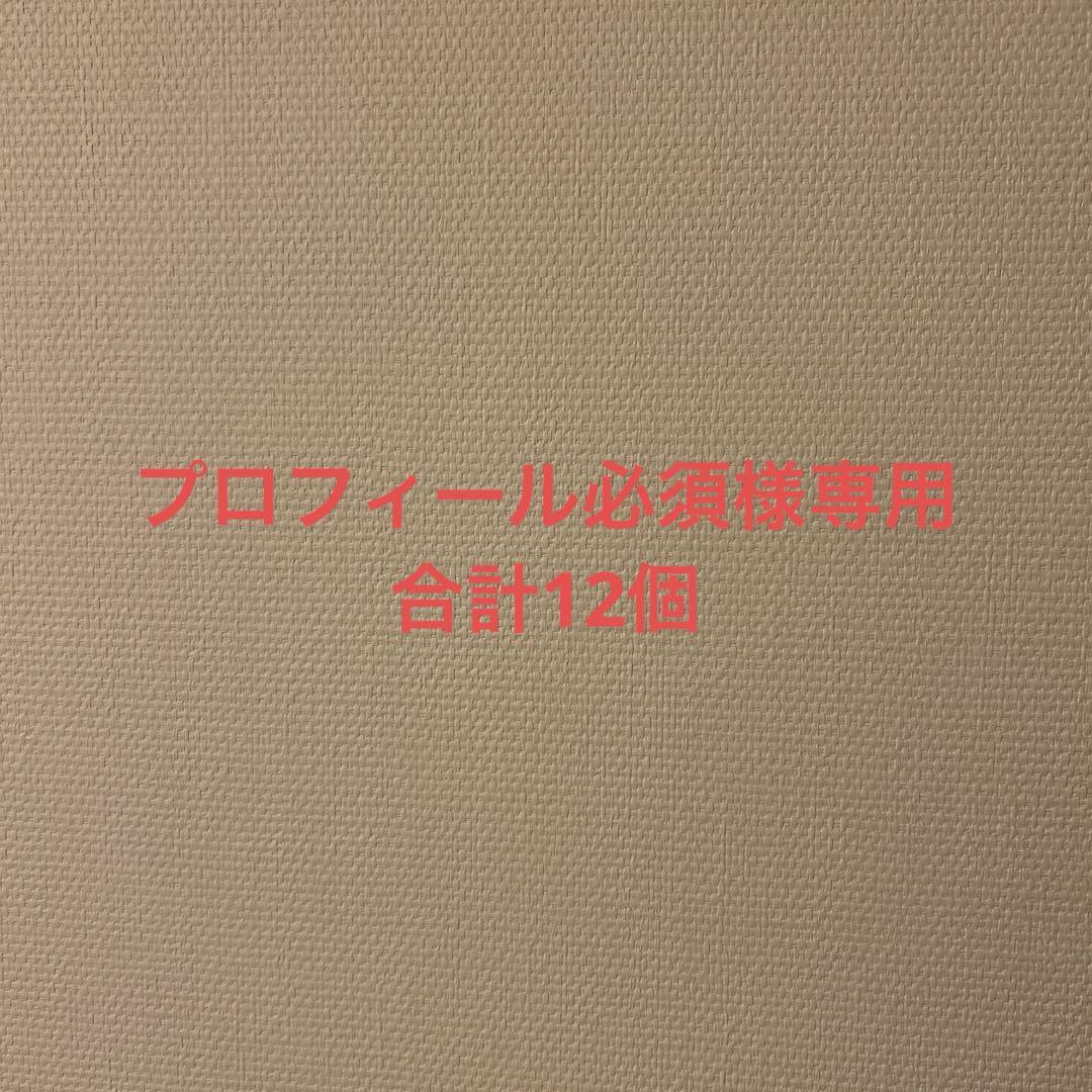プロフィール必須