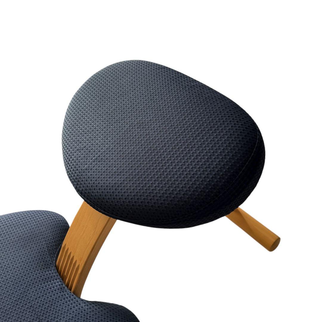 Rybo バランスイージー 撥水カバー付き　姿勢矯正チェア レッド