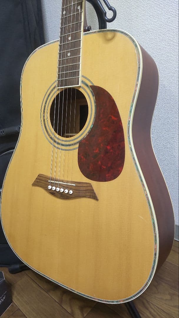 ギグバッグ付きアコースティックギター♪